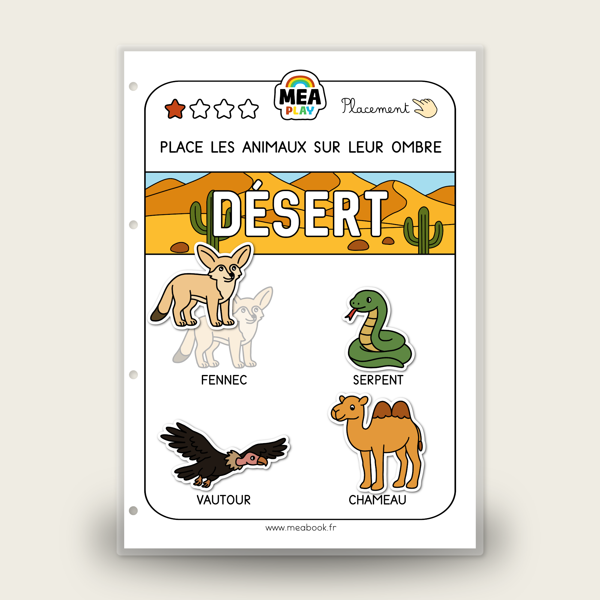 🌈 MEA Play 🐫 Animaux désert