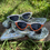 Thumbnail: Life of a Showgirl Sunnies