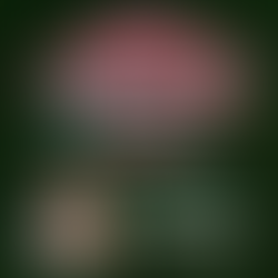 Marketing Mixologists Podcast | Episode 3