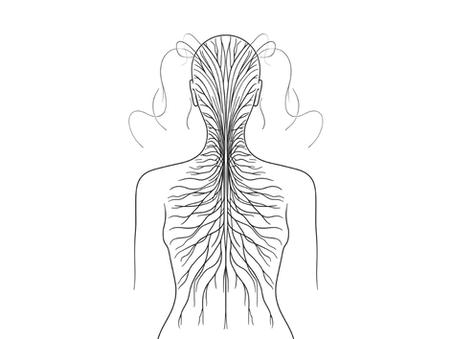 Soft line-art illustration of a human figure with gentle waves representing nervous-system reactions.