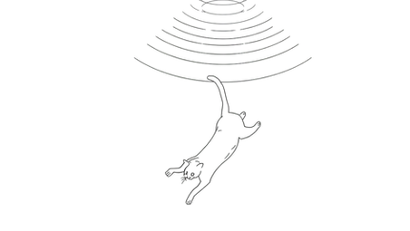 Minimalist black line art, no shading. A cat mid-fall, body loose and unhurried, not panicked, not braced. Below it, a faint suggestion of ground. Above it, nine thin concentric rings radiate outward like ripples or lives. White background. No text. Clean, spare, quiet. The feeling is not danger, it is surrender to a familiar process.