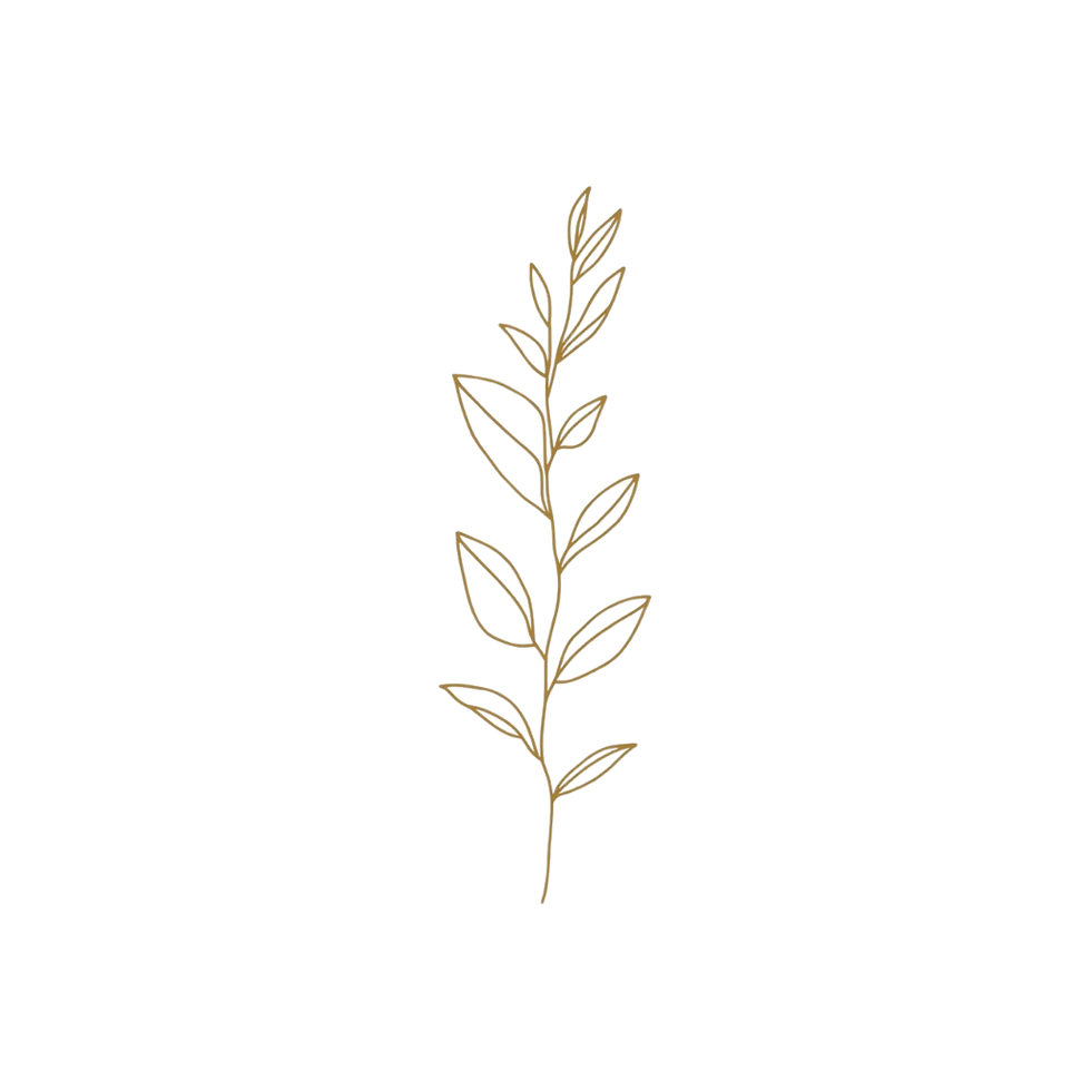 Minimal botanical line art symbolizing softness, clarity, and letting go of the need to over-explain.