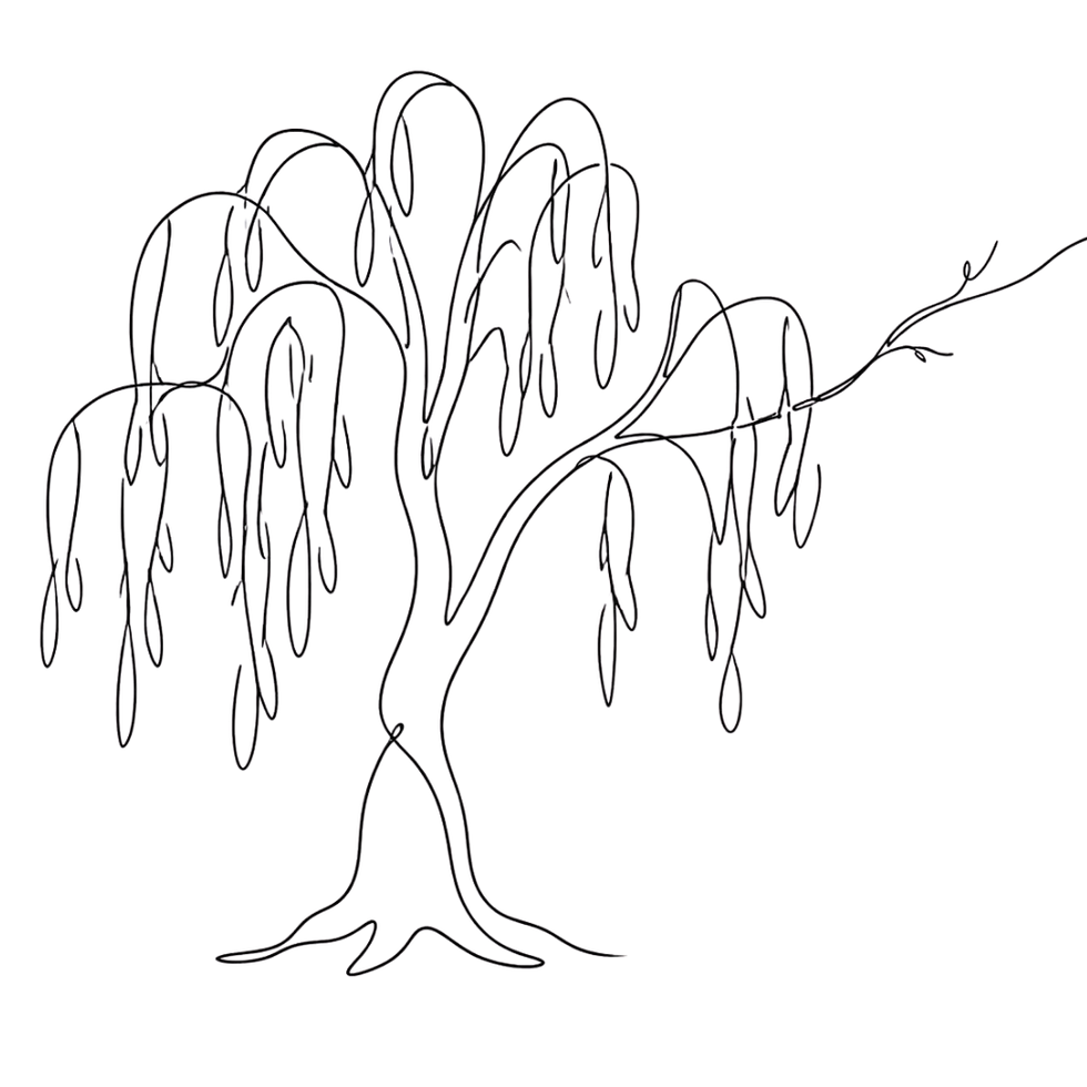 A single willow tree drawn in one continuous fine black line, one bare branch extending off-frame as if reaching past the edge of the page, negative space doing the rest of the work.