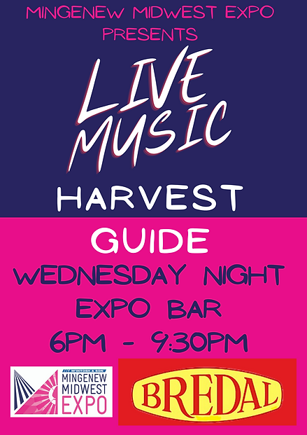 live music flyer.png