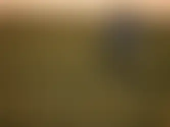 Reap What You Sow: American Soybean Farmers are Paying the Price for Trump’s Trade War