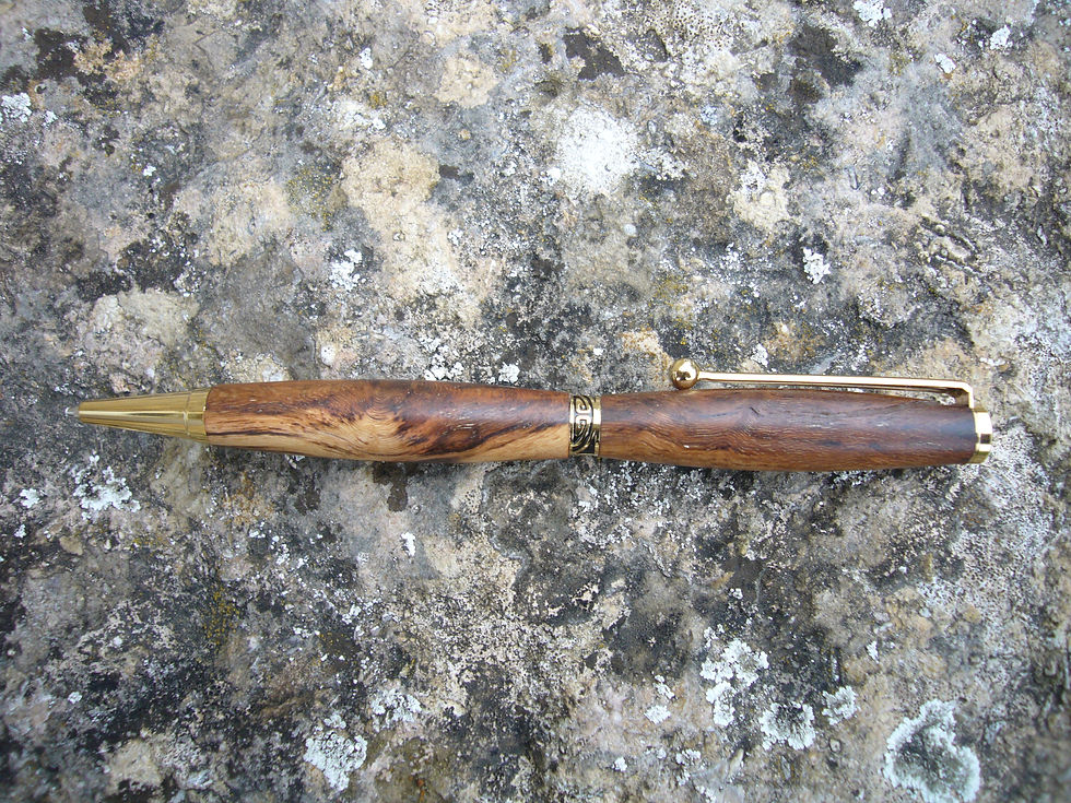 Stylo en cep de vigne