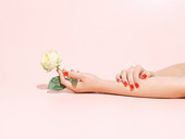 La tenue d'une Rose
