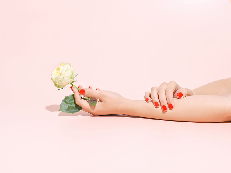 Hand Holding Rose