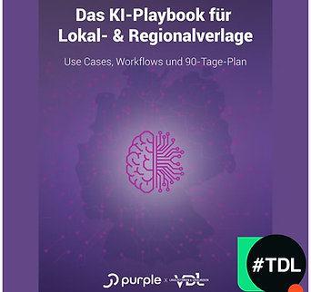 TDL KI Playbook Purple und VDL.png