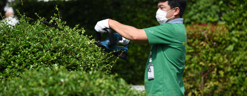 Regal Jewelry's staff pruning tree.
