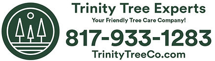 Trinity Tree logo.jpeg