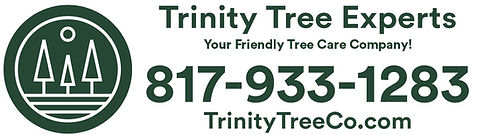 Trinity Tree logo.jpeg