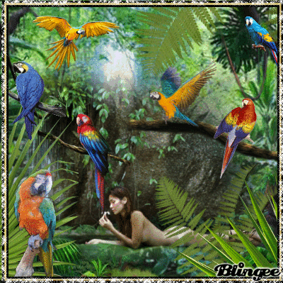 Breeders and suppliers of hand raised parrots, Cape Town