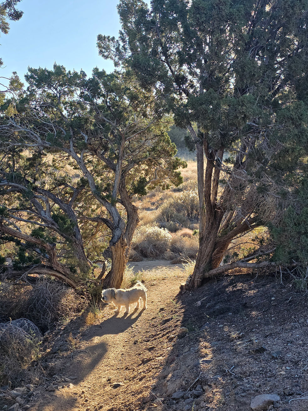20251110_075220.jpg