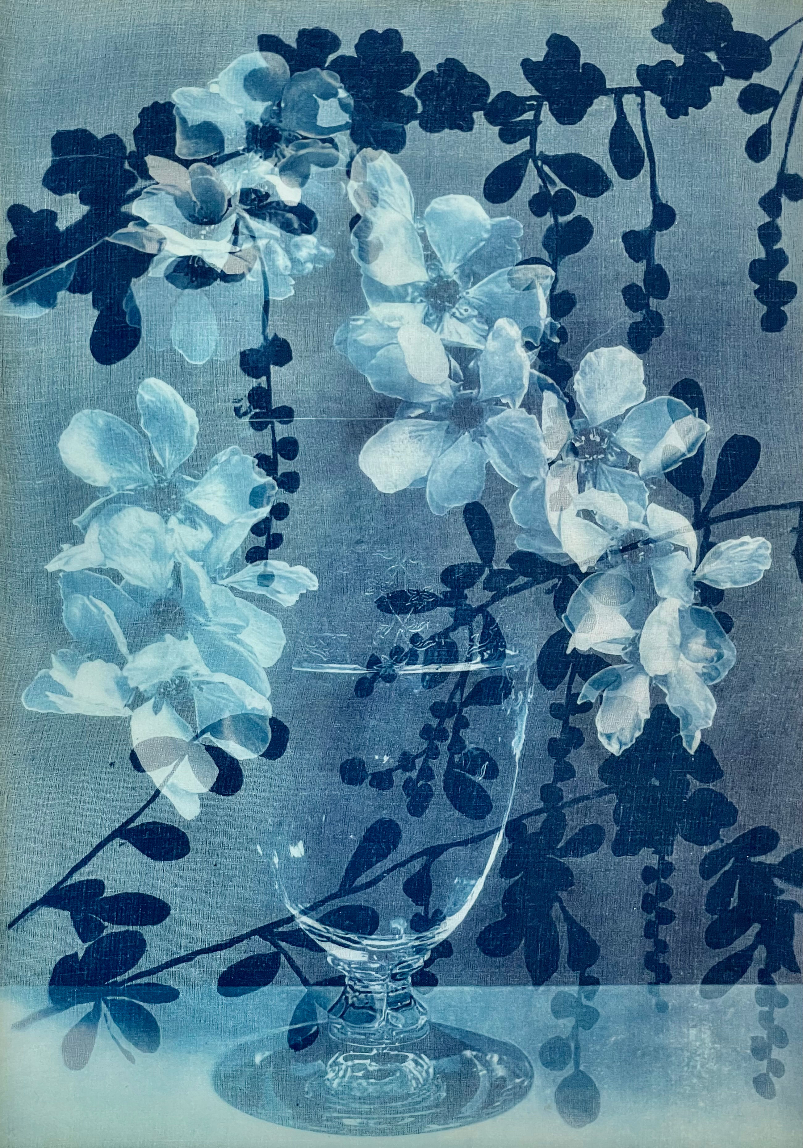 Veiled Blossoms