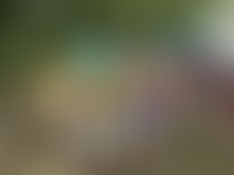 #62. An excellent snake-bit excursion in Puerto Rico: 9-11 Feb 2026