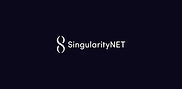 Singularity NEt.png