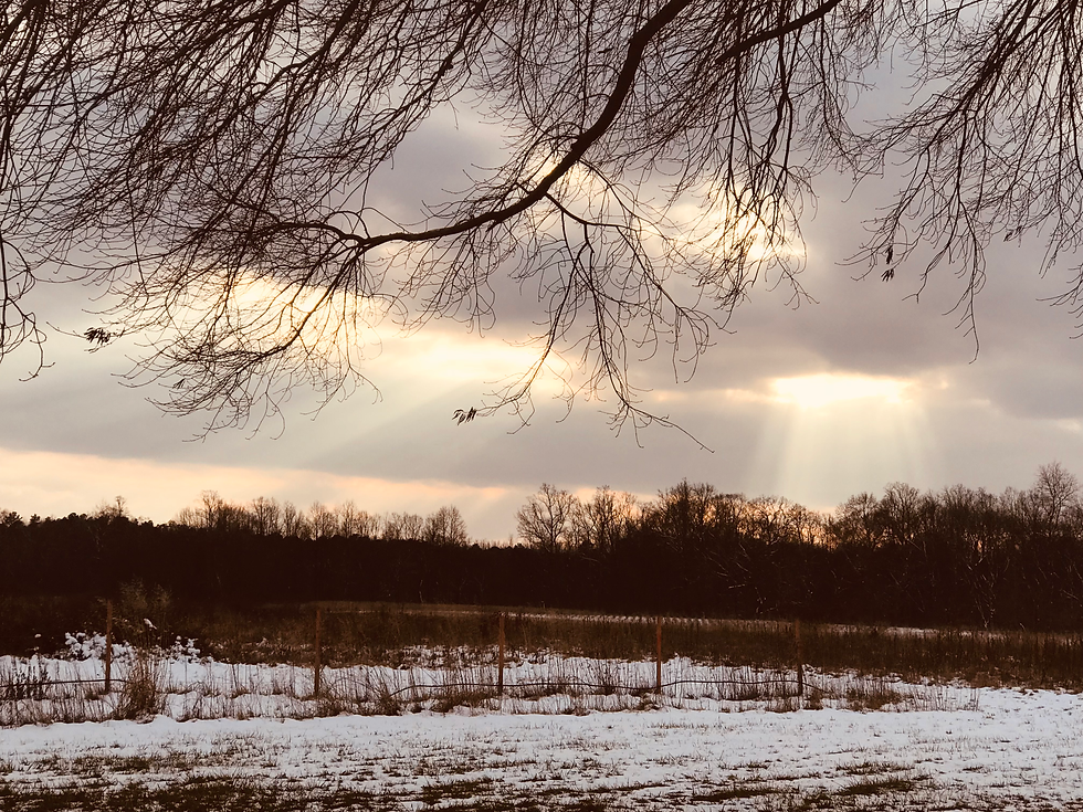 Farm.heic