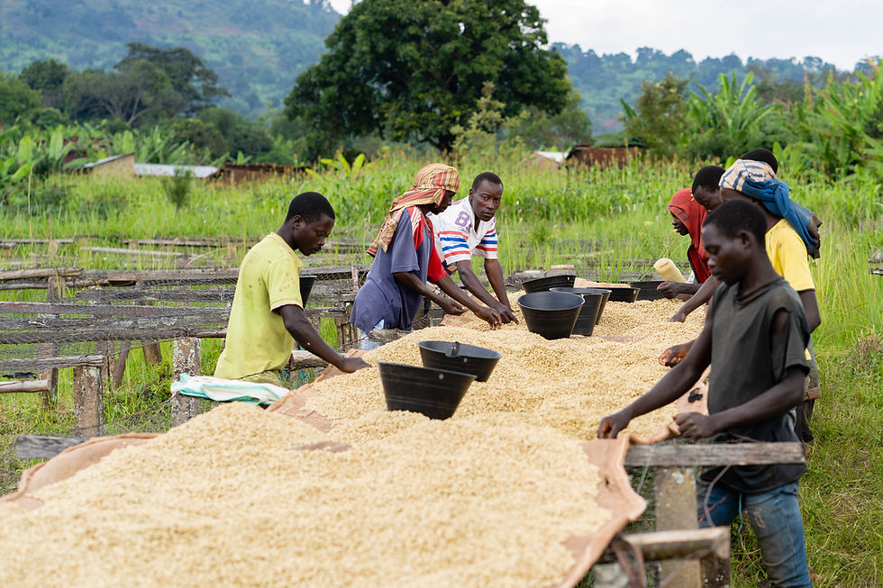 Thumbnail: Burundi - Butihinda