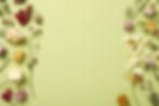 composition-dried-flowers-green-background-space-text.jpg