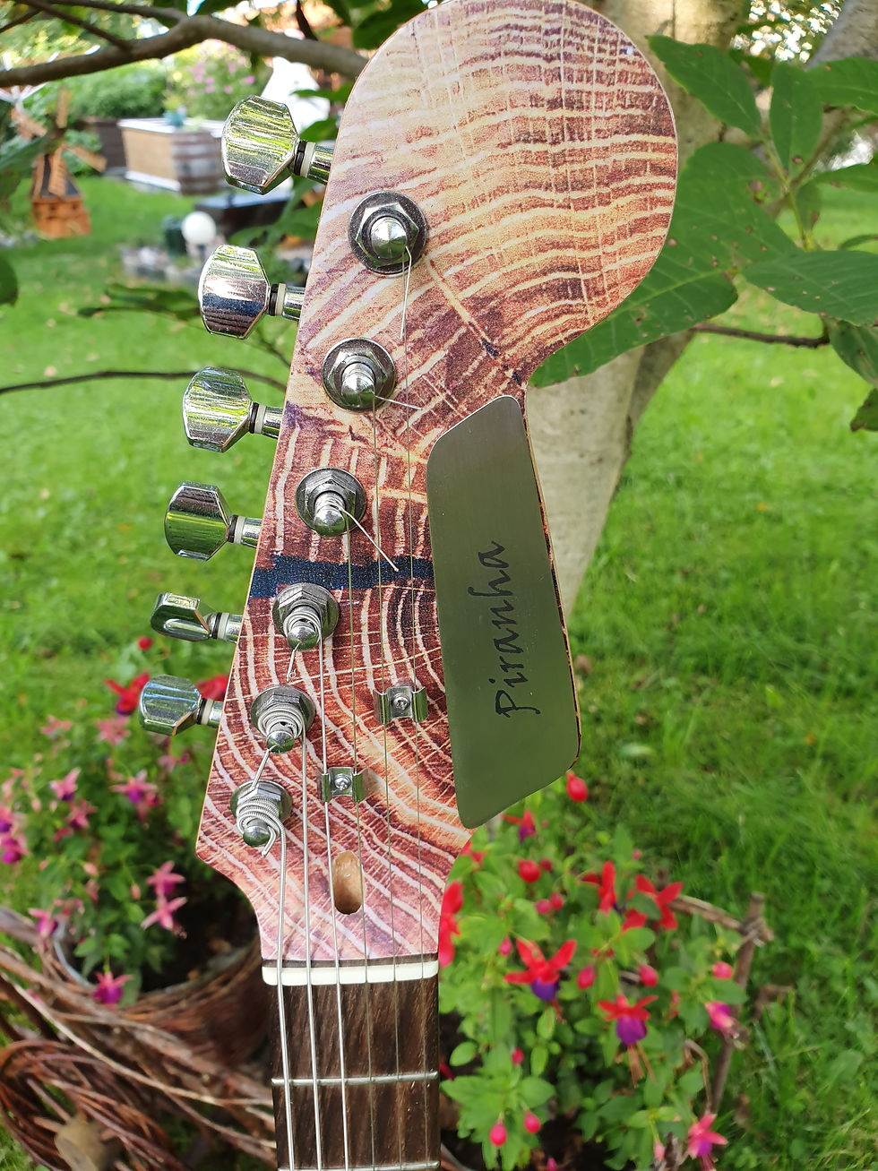 Miniaturbild: Gitarre Eiche