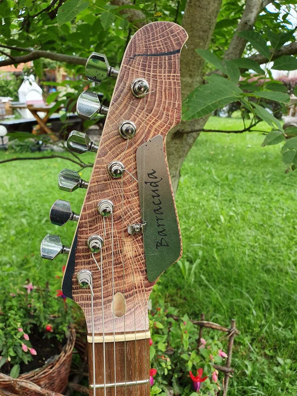 Miniaturbild: Gitarre Eiche
