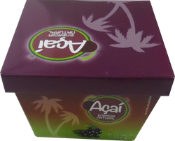 Caixa de Açaí 260g