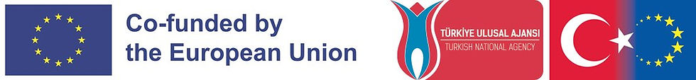 EN Co-funded by the EU_POS-horz.jpg