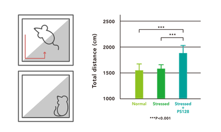 PS128曠野實驗.png