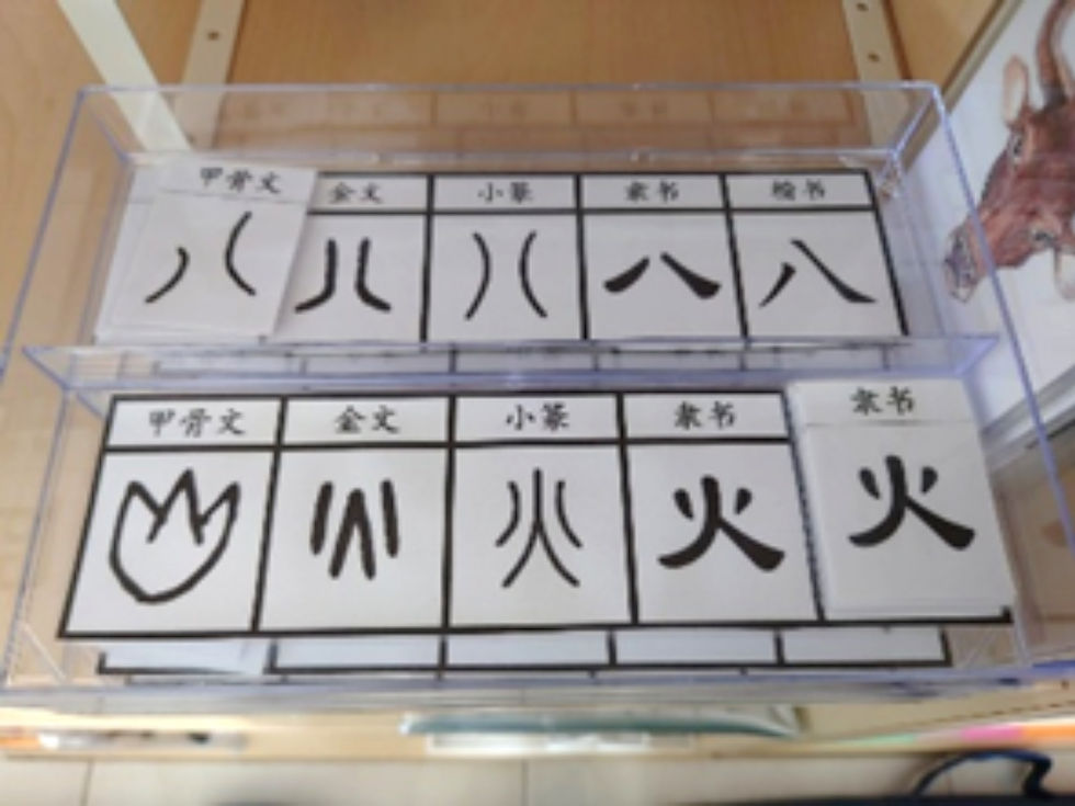 象形文字演变配对 (Pictograph Evolution Matching)