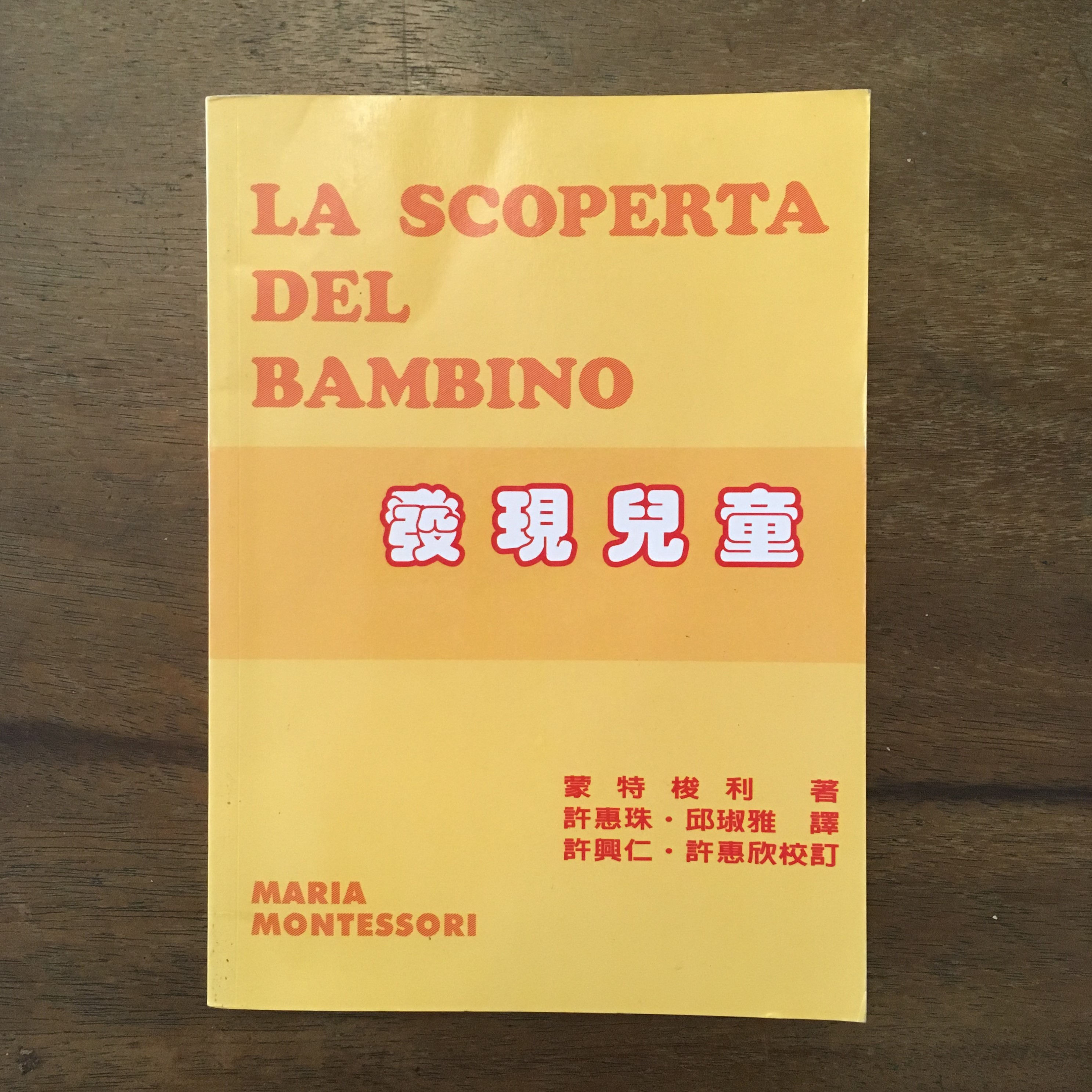 发现儿童 (The Discovery of the Child)