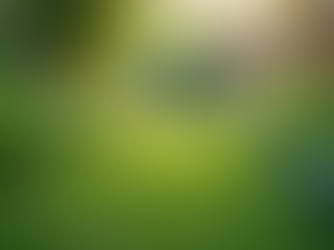 The Importance of Sustainable Living in Today's World