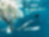 B6F8CEDB-F185-4428-BAEF-5C7F7728774D.JPG