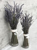 Lavender: The Magical Herb That's More Than Just a Pretty Scent!