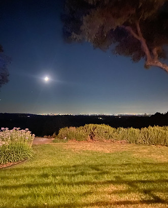 sacrameno city view