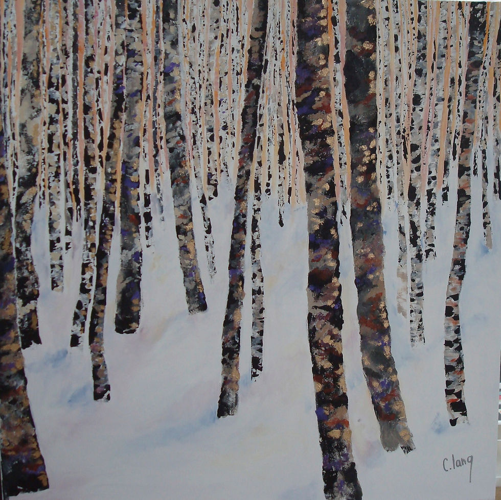 En hiver