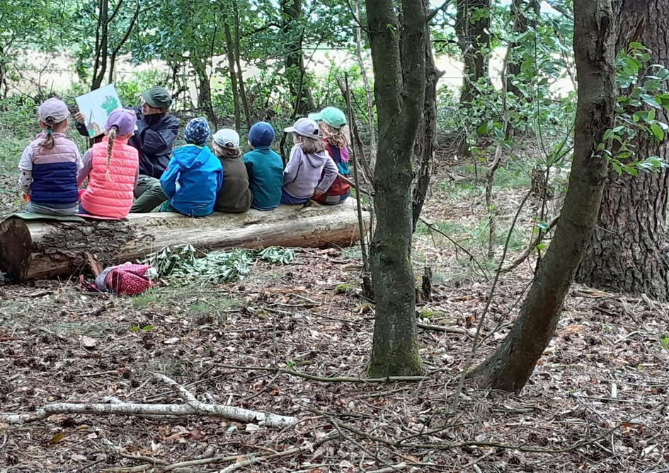Walkindergarten zum Muehlenteich in Seppensen - Buchholz in der Nordheide