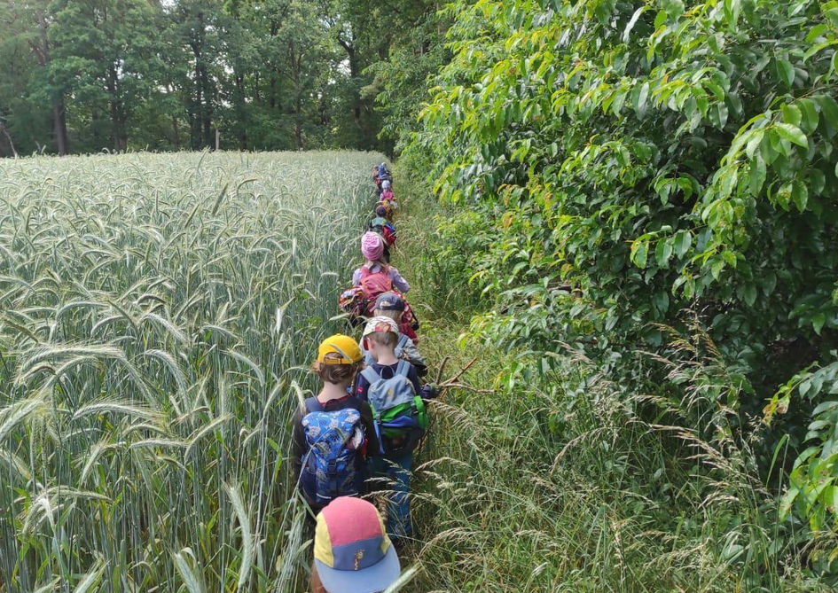 Walkindergarten zum Muehlenteich in Seppensen - Buchholz in der Nordheide