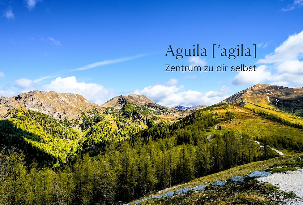 Into Stillness - Retreat in Österreich