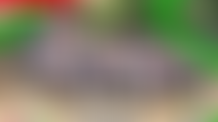 🌱 Sembratón Salesiana: Unidos por la vida y el territorio