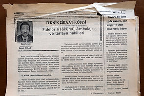 1981 Mayıs Gazete kupürü