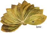 izmir tütünü, izmir tobacco