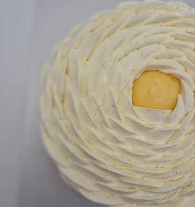 WhatsApp Image 2026-03-29 at 18.21.56 (1).jpeg