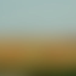 Les grandes prairies/The vast prairies