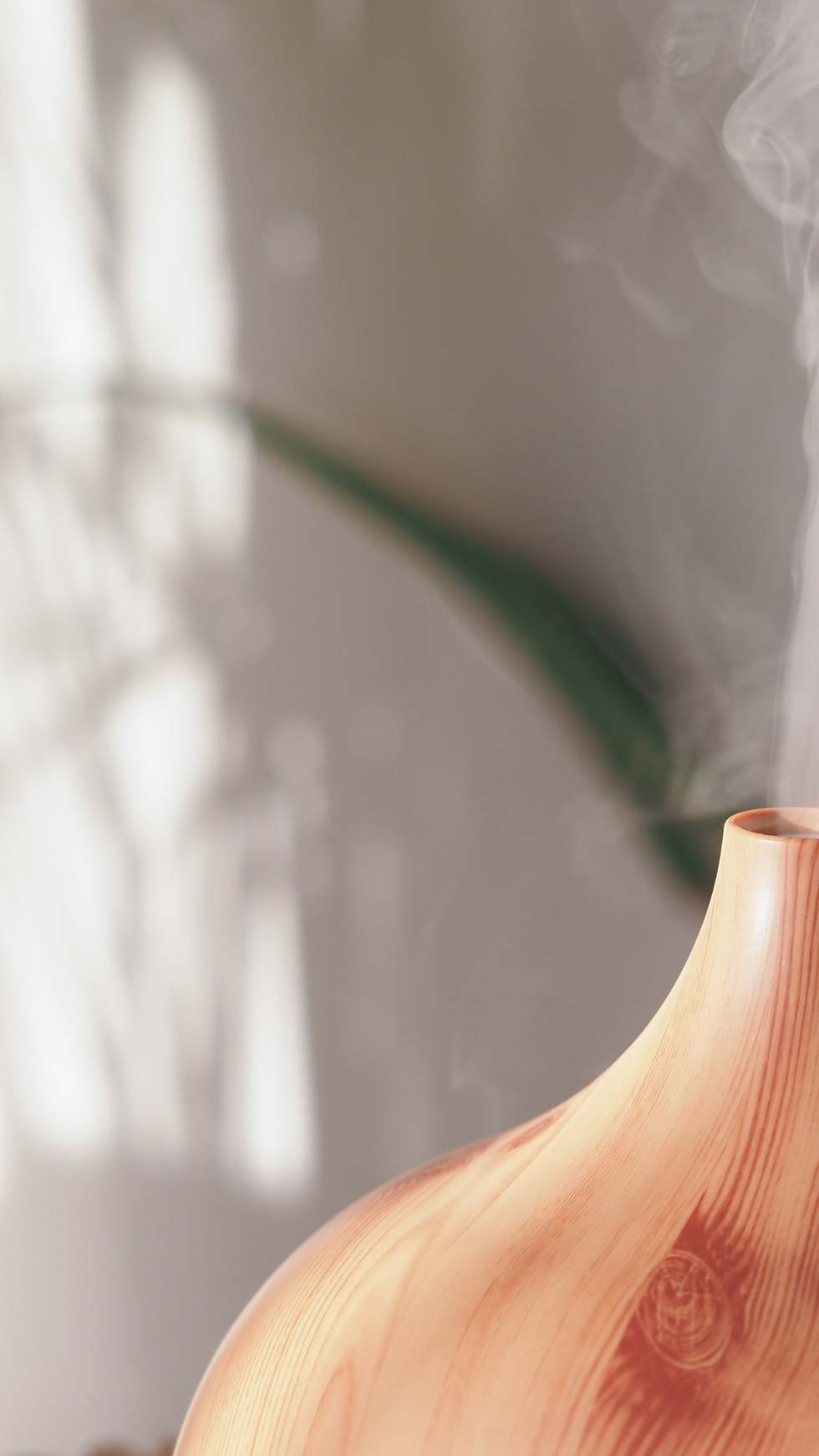 Program Features - Complete and Essential (2).png