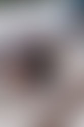 Where to stay in Porto: Discover Boavista Guest House