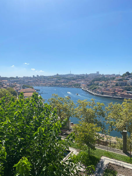 View over Douro River