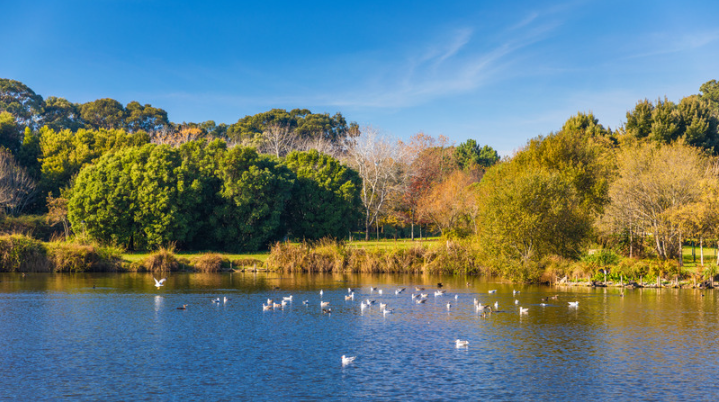 Porto City Park