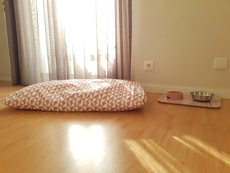 Cama e taças para animal de estimacao