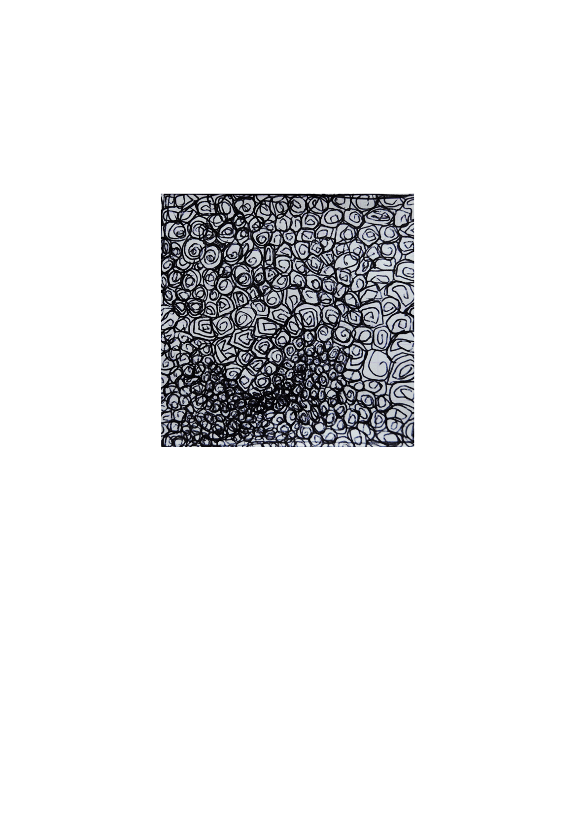 ed-07T.gif